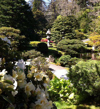 Golden Gate Park, Japanese Tea Garden